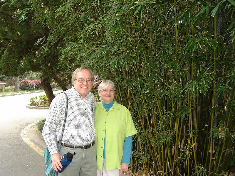DSC01921.JPG - Closeup of the bamboo. 22 October 2009