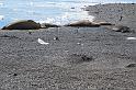DSC04966