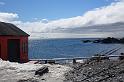 DSC05204