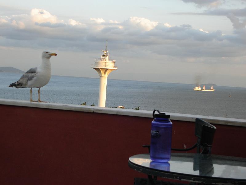 DSC01044.JPG - Sea gull.  Radar tower.  Boat, one of many, waiting to travel up the Bosphorus into the Black Sea.  Taken from the Hotel Tashkanak rooftop patio. dawn, 14 July 2007