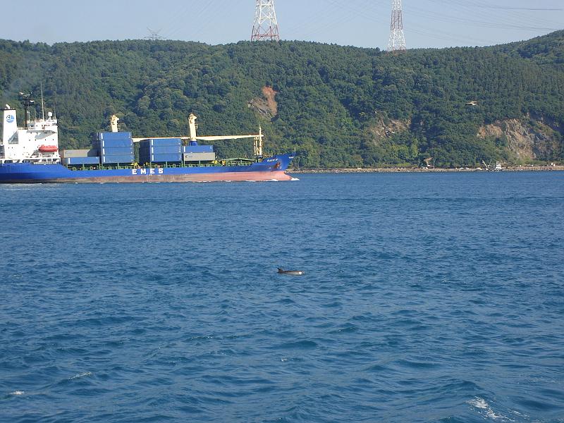 DSC01343.JPG - Cargo ship and a dolphin on the Bosphorus. 16 July 2007