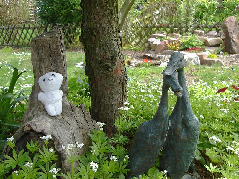 DSC02391.JPG - The Sweet Baboo visits some ducks in Dorothea and Dieter's garden. 20 April 2008