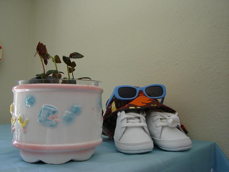 DSC01319.JPG - Gretchen's flower pot (now Sebastian's flower pot), Sebastian's flap-happy hat, his sunglasses, and his shoes. 21 July 2009