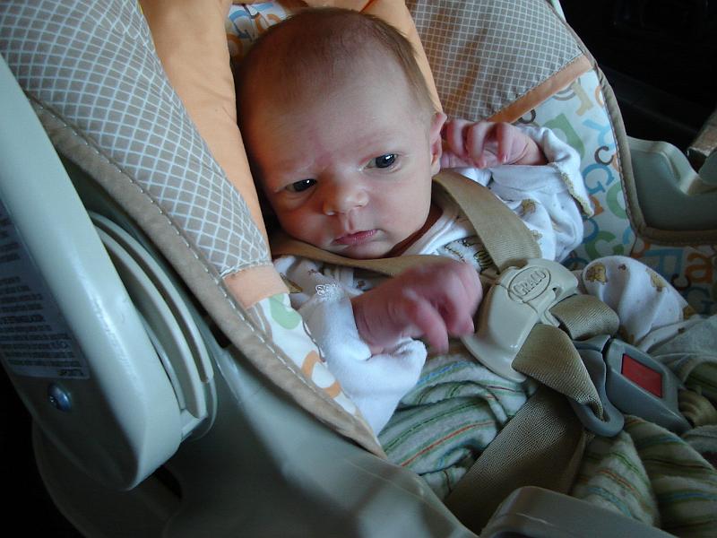 DSC01354.JPG - Sebastian in his car seat. 24 July 2009