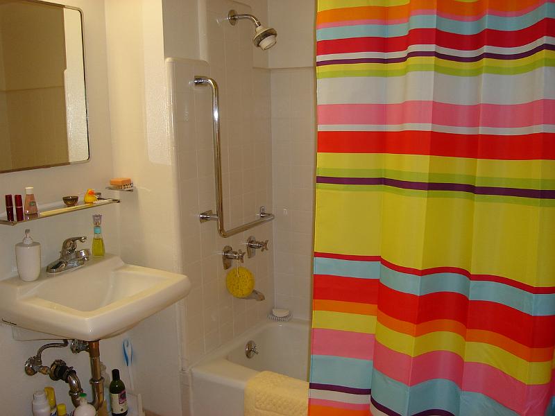 DSC01388.JPG - The bathroom, with a bright new shower curtain, in Ramona's new apartment. 8 August 2009