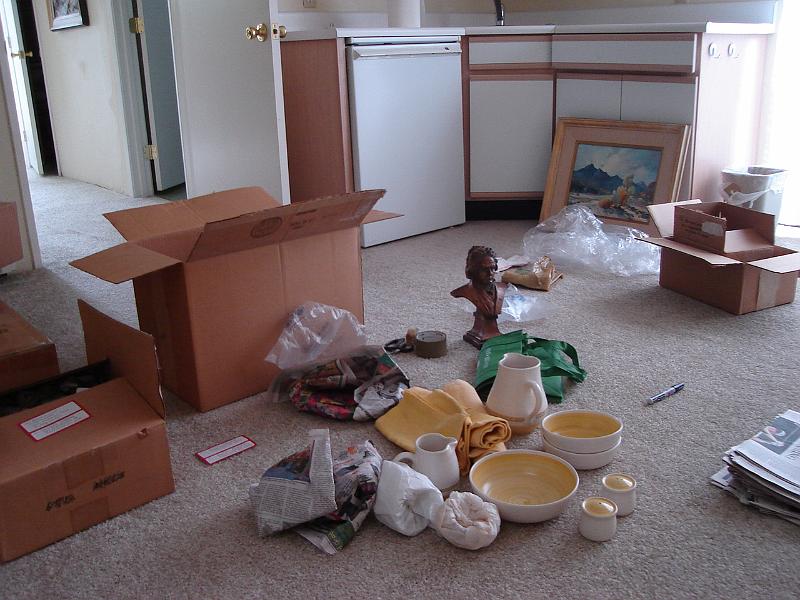DSC01393.JPG - Packing up boxes to be shipped to nieces and Judy. 9 August 2009