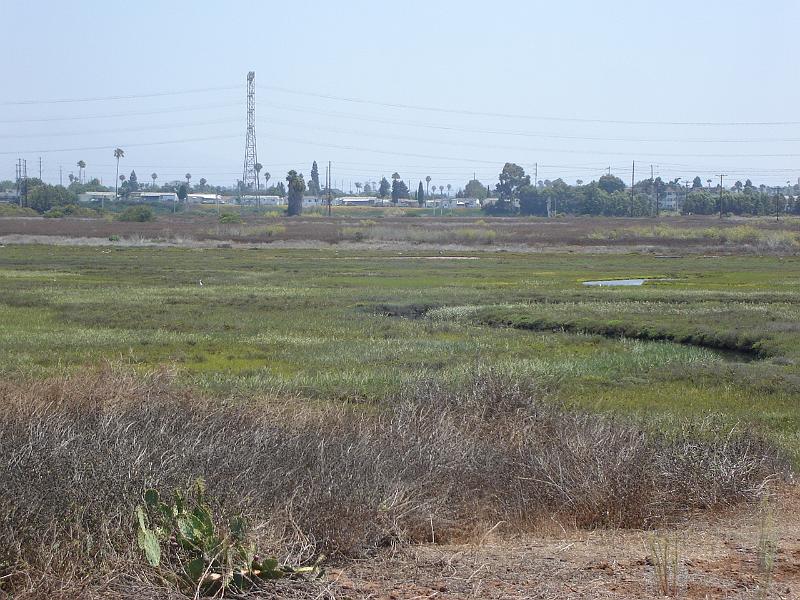 DSC01454.JPG - Wetlands at the Chula Vista Nature Center. 12 August 2009