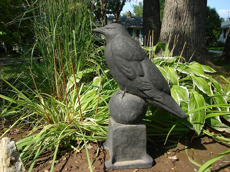 DSC01511.JPG - The latest addition to the labyrinth - a raven (not a crow) 7 September 2009
