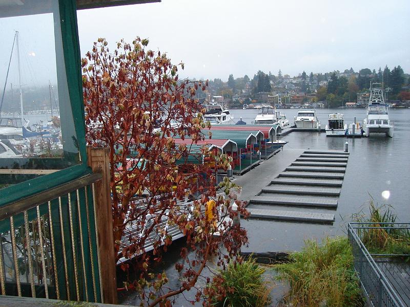 DSC01719.JPG - View of Portage Bay from the Agua Verde. 16 October 2009