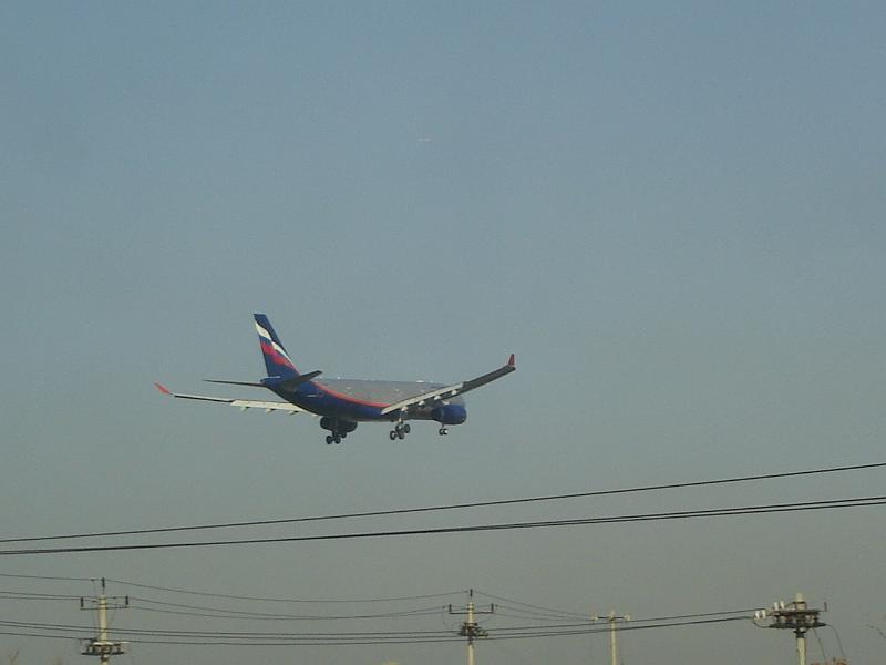 DSC01861.JPG - An Aeroflot plane, from our hotel room. 21 October 2009
