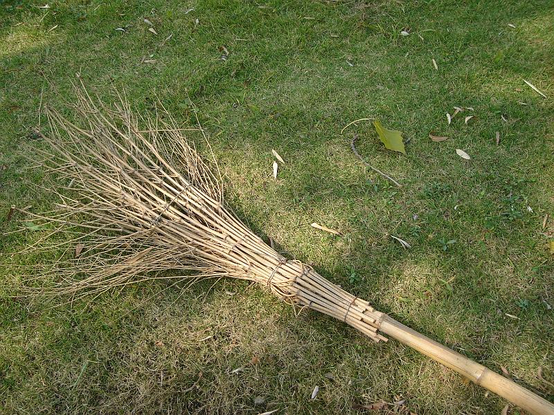 DSC01972.JPG - A broom. 23 October 2009