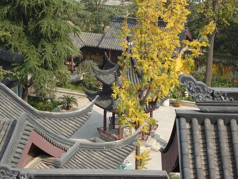 DSC02089.JPG - Buildings on the Jiming Temple grounds. 25 October 2009