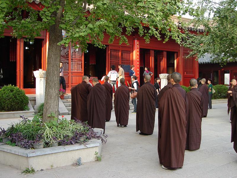DSC02114.JPG - The women monks ready to begin services at the temple. 25 October 2009