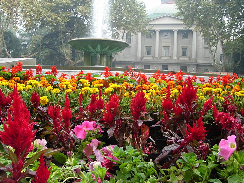 DSC02141.JPG - Flowers at the fountain on the campus of Southeast University. 27 October 2009