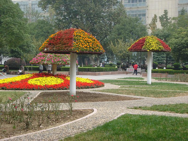 DSC02151.JPG - Park near the Gulou subway station. 27 October 2009