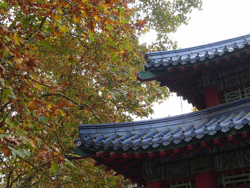 DSC02215.JPG - Autumnal colors with the colors of the pavilion. 28 October 2009