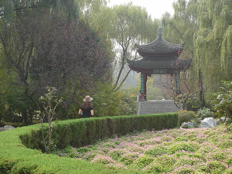 DSC02220.JPG - Brenda in one of the many gardens on Purple Flower Mountain. 28 October 2009