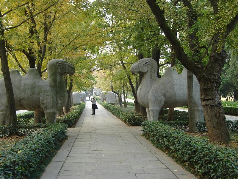 DSC02248.JPG - A long line of guardian animals on the Sacred Avenue. 28 October 2009