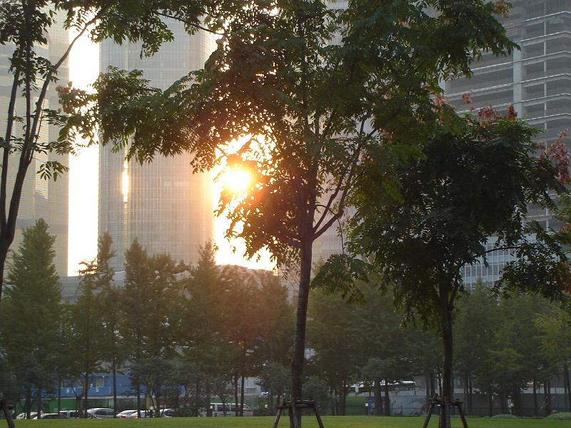 DSC02458.JPG - Sunset in Shanghai. 31 October 2009