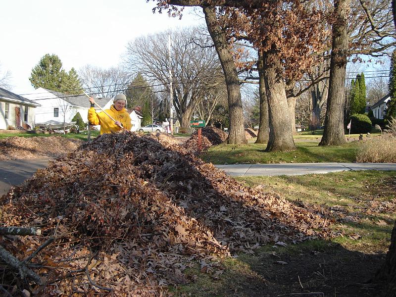 DSC02610.JPG - The leaf piles are huge, as always.  Judy trying to keep up. 8 November 2009