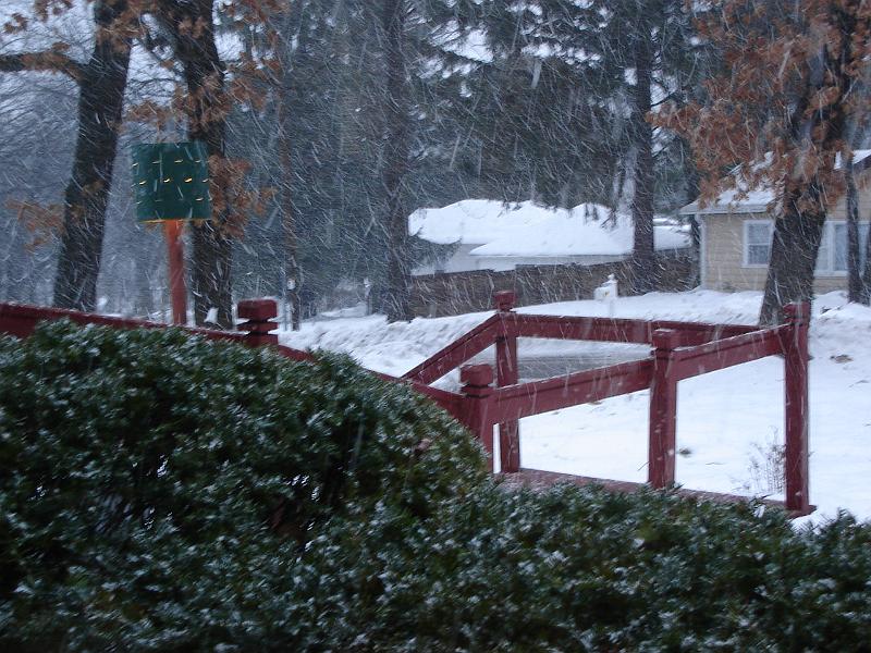 DSC02728.JPG - Snow on Christmas Day. 25 December 2009