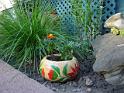 100531-Spring_in_Madison