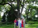 100724-Lawn_Party