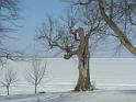 170205-Driving_on_Lake_Winnebago