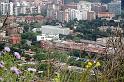 DSC00982