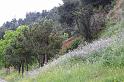 DSC00995