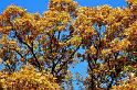 DSC01831