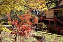 DSC01835