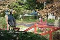 DSC01837