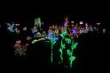 DSC02096