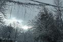 DSC02246