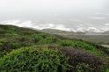 DSC02341