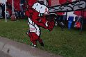 DSC02950
