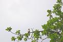 DSC02980