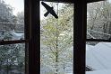 DSC03679