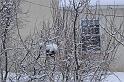 DSC05608