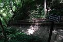 DSC05800