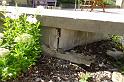 DSC05830