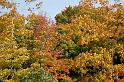 DSC05917