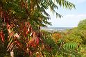 DSC05948