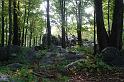 DSC05950