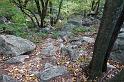 DSC05960