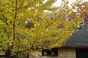 DSC06001