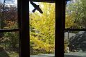 DSC06002