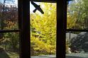 201220-Covid_Autumn