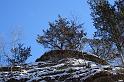 DSC07600